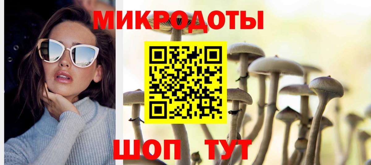 Галлюциногенные грибы Psilocybe Надым